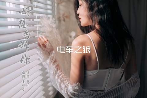 电车之狼